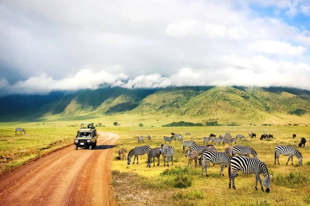 destinations pour un safari